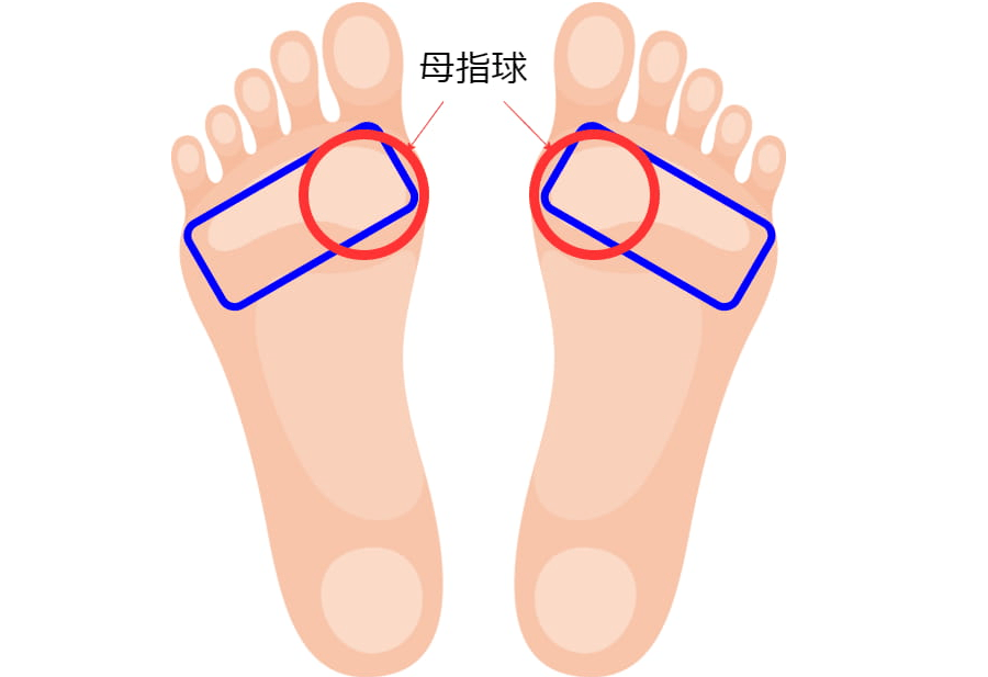 ペダルを踏むときの足の部位の画像
